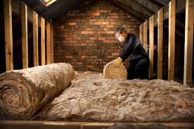 Best Insulation Removal  in Goodlettsville, TN